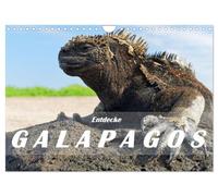 Calendar 2027 · US Version · Discover Galapagos | The uniqueness of Galapagos lies in its nature: wild coastlines, volcanoes and… · 12" × 8" Landscape · CALVENDO Wall Calendar