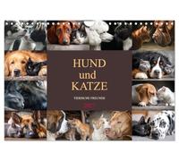 Calendar 2027 · US Version · Dog and cat - animal friends | Friendship knows no differences, a piece of love on the wall every month · 12" × 8" Landscape · CALVENDO Wall Calendar