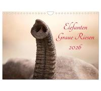 Calendar 2027 · US Version · Elephants - gray giants | Elephants · gray giants from far away Africa · 12" × 8" Landscape · CALVENDO Wall Calendar