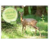 Calendar 2027 · US Version · Enchanting creatures - graceful roe deer | Enchanted encounters with deer in the wild · 17" × 12" Landscape · CALVENDO Wall Calendar