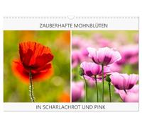 Calendar 2027 · US Version · ENCHANTING POPPY BLOSSOMS IN SCARLET AND PINK | Every field of poppies in bloom is a highlight for me · 17" × 12" Landscape · CALVENDO Wall Calendar