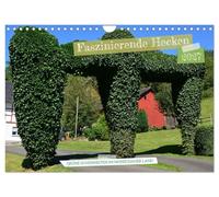 Calendar 2027 · US Version · Fascinating hedges - beauties in the | Monschau region · When it was still zing cold in winter · 12" × 8" Landscape · CALVENDO Wall Calendar