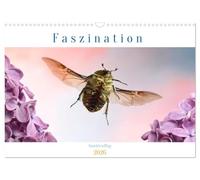 Calendar 2027 · US Version · Fascination insect flight | A colorful glimpse into the wonderful world of insects during their flight… · 17" × 12" Landscape · CALVENDO Wall Calendar