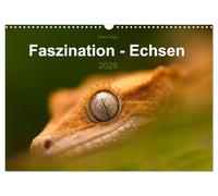 Calendar 2027 · US Version · Fascination - Lizards | We marvel when we look at these strange creatures that seem as if they come… · 17" × 12" Landscape · CALVENDO Wall Calendar