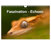 Calendar 2027 · US Version · Fascination - Lizards | We marvel when we look at these strange creatures that seem as if they come… · 12" × 8" Landscape · CALVENDO Wall Calendar