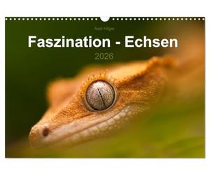 Calendar 2027 · US Version · Fascination - Lizards | We marvel when we look at these strange creatures that seem as if they come… · 17" × 12" Landscape · CALVENDO Wall Calendar