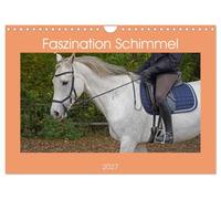 Calendar 2027 · US Version · Fascination mold | A day of riding with the gray gelding Clark and the gray mare Coco · 12" × 8" Landscape · CALVENDO Wall Calendar