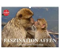 Calendar 2027 · US Version · Fascination Monkeys. Goblins to fall in love | with · Pretty monkeys with adorable faces · 17" × 12" Landscape · CALVENDO Wall Calendar
