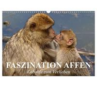Calendar 2027 · US Version · Fascination Monkeys. Goblins to fall in love | with · Pretty monkeys with adorable faces · 17" × 12" Landscape · CALVENDO Wall Calendar