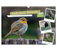 Calendar 2027 · US Version · Feathered friends - Our native garden birds | Beautiful photographs that bring the splendor, diversity and uniqueness of… · 17" × 12" Landscape · CALVENDO Wall Calendar