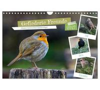 Calendar 2027 · US Version · Feathered friends - Our native garden birds | Beautiful photographs that bring the splendor, diversity and uniqueness of our… · 12" × 8" Landscape · CALVENDO Wall Calendar