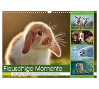 Calendar 2027 · US Version · Fluffy moments | Cute animal motifs that warm the heart and fill every room with joy · 17" × 12" Landscape · CALVENDO Wall Calendar