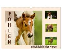 Calendar 2027 · US Version · Foals, happy in the herd | Curious, playing foals under the protection of the herd · 17" × 12" Landscape · CALVENDO Wall Calendar