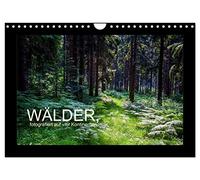 Calendar 2027 · US Version · Forests photographed on four continents | Forest landscapes photographed in Germany, USA, Namibia, South Africa… · 12" × 8" Landscape · CALVENDO Wall Calendar