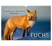 Calendar 2027 · US Version · Fox - cunning predator | Impressive pictures of the shy animals · 17" × 12" Landscape · CALVENDO Wall Calendar
