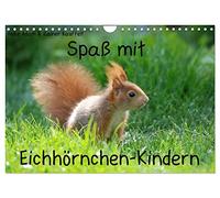 Calendar 2027 · US Version · Fun with squirrel kids | Our squirrel offspring · 12" × 8" Landscape · CALVENDO Wall Calendar