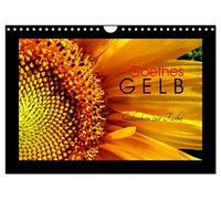 Calendar 2027 · US Version · Goethe's Yellow Thoughts on Color | The most beautiful yellow tones from nature, characterized by Goethe · 12" × 8" Landscape · CALVENDO Wall Calendar