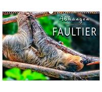 Calendar 2027 · US Version · Hang out - sloth | Impressive images of the masters of slowness · 17" × 12" Landscape · CALVENDO Wall Calendar