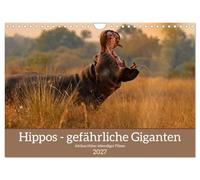 Calendar 2027 · US Version · Hippos - Dangerous giants | A first-class collection of Hippofotos awaits you · 12" × 8" Landscape · CALVENDO Wall Calendar