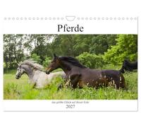 Calendar 2027 · US Version · Horses, the greatest happiness on this earth | Not without reason it is said that horses make happy · 12" × 8" Landscape · CALVENDO Wall Calendar