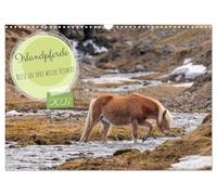Calendar 2027 · US Version · Icelandic horses - Journey to their wild | homeland · Experience the magic and beauty of Icelandic horses · 17" × 12" Landscape · CALVENDO Wall Calendar