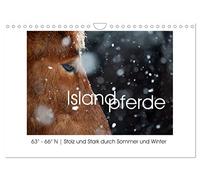 Calendar 2027 · US Version · Icelandic horses - Proud and strong through | summer and winter · Icelandic horses photographed in their homeland: 63 · 66° N · 12" × 8" Landscape · CALVENDO Wall Calendar