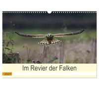 Calendar 2027 · US Version · In the territory of the falcons | Kestrels in the wild, by Jens Siebert · 17" × 12" Landscape · CALVENDO Wall Calendar