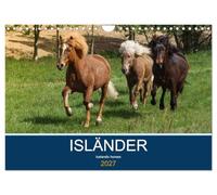Calendar 2027 · US Version · Isländer - icelandic horses | With the Viking horses through the year · 12" × 8" Landscape · CALVENDO Wall Calendar