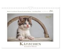Calendar 2027 · US Version · Kitten calendar with sayings | Wonderful cat photographs combined with sayings will accompany you through the… · 12" × 8" Landscape · CALVENDO Wall Calendar