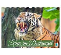 Calendar 2027 · US Version · Life in the jungle: the rainforest is a | paradise for animals · The fascinating wildlife of the rainforests of… · 17" × 12" Landscape · CALVENDO Wall Calendar