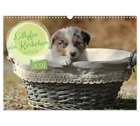 Calendar 2027 · US Version · Lillyfee and a basket full of happiness | Mother happiness on four paws · 17" × 12" Landscape · CALVENDO Wall Calendar