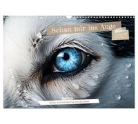 Calendar 2027 · US Version · Look me in the eye | Eyes are windows into a new world · 17" × 12" Landscape · CALVENDO Wall Calendar