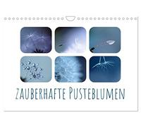 Calendar 2027 · US Version · Magic dandelions | Immerse yourself in the magical world of dandelions · 12" × 8" Landscape · CALVENDO Wall Calendar