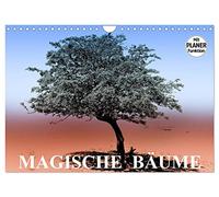 Calendar 2027 · US Version · Magic trees | Trees as a magical eye catcher in nature · 12" × 8" Landscape · CALVENDO Wall Calendar
