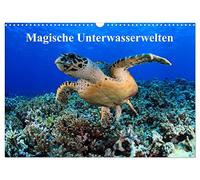 Calendar 2027 · US Version · Magical underwater worlds | Fascinating images from the wonder world of tropical coral reefs · 17" × 12" Landscape · CALVENDO Wall Calendar