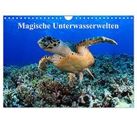 Calendar 2027 · US Version · Magical underwater worlds | Fascinating images from the wonder world of tropical coral reefs · 12" × 8" Landscape · CALVENDO Wall Calendar