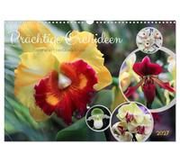 Calendar 2027 · US Version · Magnificent orchids | Various orchids in vibrant colors · 17" × 12" Landscape · CALVENDO Wall Calendar