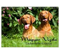 Calendar 2027 · US Version · Magyar Vizsla - Magic goblins | Magyar Vizsla Enchanting Goblins a calendar of the special kind of this breed · 12" × 8" Landscape · CALVENDO Wall Calendar