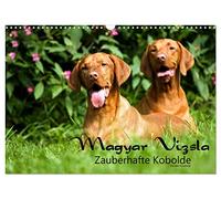 Calendar 2027 · US Version · Magyar Vizsla - Magic goblins | Magyar Vizsla Enchanting Goblins a calendar of the special kind of this breed · 17" × 12" Landscape · CALVENDO Wall Calendar