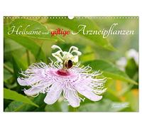 Calendar 2027 · US Version · Medicinal and poisonous plants | Flowering medicinal plants beautifully portrayed, with a brief description of… · 17" × 12" Landscape · CALVENDO Wall Calendar