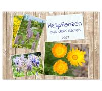 Calendar 2027 · US Version · Medicinal plants from the garden | Get to know forgotten medicinal herbs again · 17" × 12" Landscape · CALVENDO Wall Calendar