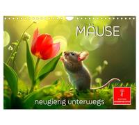 Calendar 2027 · US Version · Mice - curious on the move | Adorable rodents discover the world · 12" × 8" Landscape · CALVENDO Wall Calendar