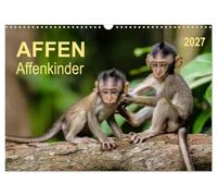 Calendar 2027 · US Version · Monkeys - monkey children | Little creatures that you just have to like · 17" × 12" Landscape · CALVENDO Wall Calendar