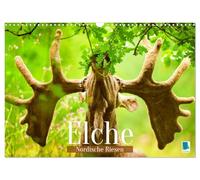 Calendar 2027 · US Version · Moose: Nordic giants | The elk: king of all deer · 17" × 12" Landscape · CALVENDO Wall Calendar