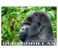 Calendar 2027 · US Version · Mountain gorillas: the endangered giants | In the Virunga Volcanoes, in the border area between Rwanda, Uganda and Congo… · 12" × 8" Landscape · CALVENDO Wall Calendar