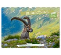 Calendar 2027 · US Version · Mountain kings - ibexes in the spotlight of | nature forography · Ibexes climb the summits of their destinations undeterred · 17" × 12" Landscape · CALVENDO Wall Calendar