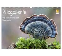 Calendar 2027 · US Version · Mushroom Gallery - The Colorful World of Tree | Mushrooms · A fascinating insight into the colorful world of tree fungi · 17" × 12" Landscape · CALVENDO Wall Calendar