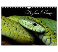 Calendar 2027 · US Version · Myth snakes | The beauty of snakes · Captured in impressive photos · 12" × 8" Landscape · CALVENDO Wall Calendar