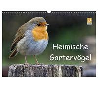 Calendar 2027 · US Version · Native garden birds | Beautiful photographs that bring the splendor, diversity and uniqueness of… · 17" × 12" Landscape · CALVENDO Wall Calendar