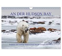 Calendar 2027 · US Version · ON THE HUDSON BAY | Expedition to the Canadian province of Manitoba · 12" × 8" Landscape · CALVENDO Wall Calendar